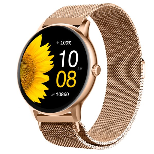 Fire-Boltt Phoenix Ultra Luxury Stainless Steel, Bluetooth C…